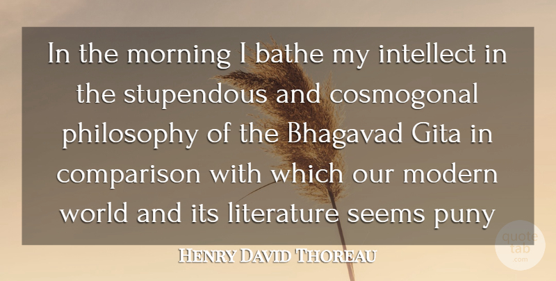 Henry David Thoreau Quote About Morning, Philosophy, Gita: In The Morning I Bathe...