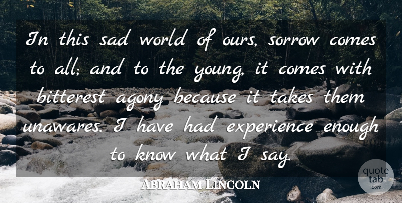 Abraham Lincoln Quote About Agony, Bitterest, Experience, Sad, Takes: In This Sad World Of...