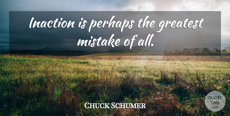 Charles Schumer Quote About Mistake, Inaction: Inaction Is Perhaps The Greatest...