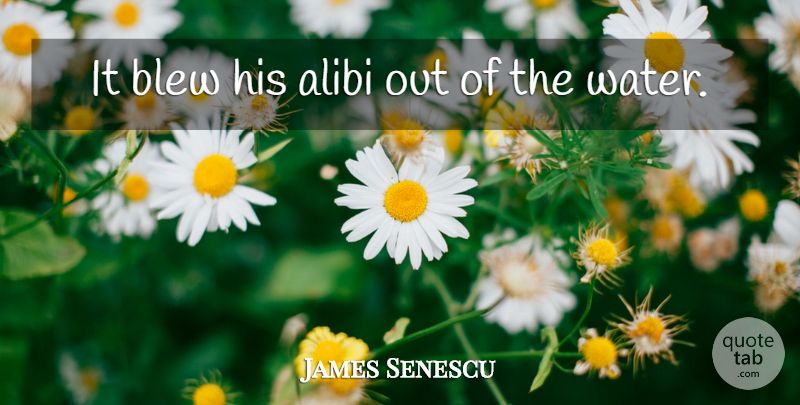 James Senescu Quote About Alibi, Blew: It Blew His Alibi Out...