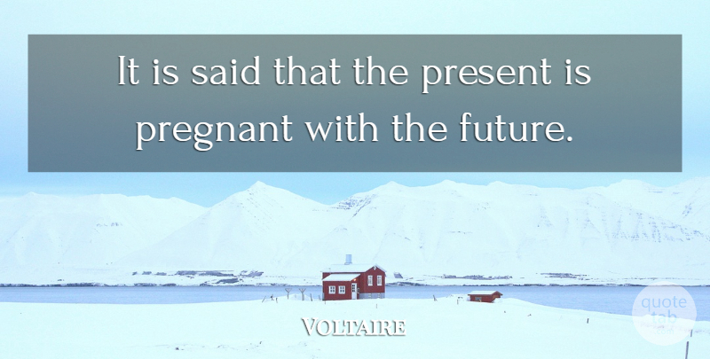 Voltaire Quote About Future, Pregnancy, Goal: It Is Said That The...