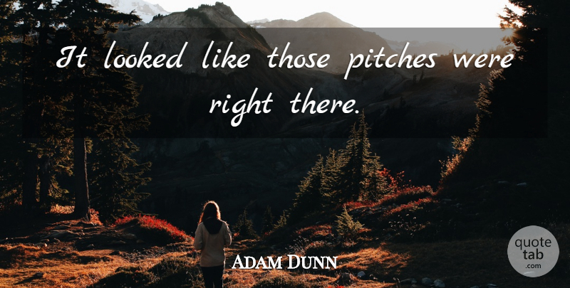 Adam Dunn Quote About Looked, Pitches: It Looked Like Those Pitches...