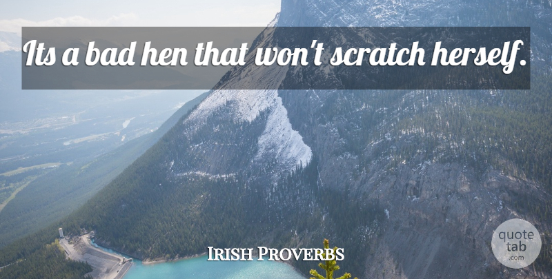 Irish Proverbs Quote About Bad, Hen, Proverbs, Scratch: Its A Bad Hen That...