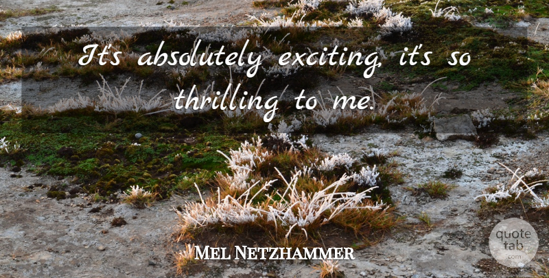 Mel Netzhammer Quote About Absolutely, Thrilling: Its Absolutely Exciting Its So...