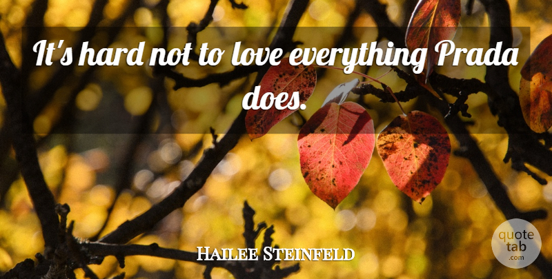 Hailee Steinfeld Quote About Hard, Love: Its Hard Not To Love...