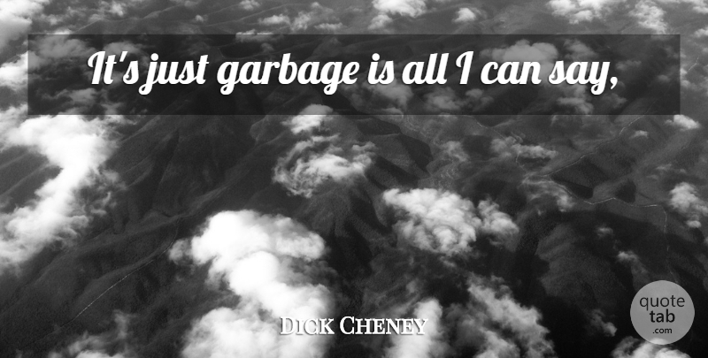 Dick Cheney Quote About Garbage: Its Just Garbage Is All...