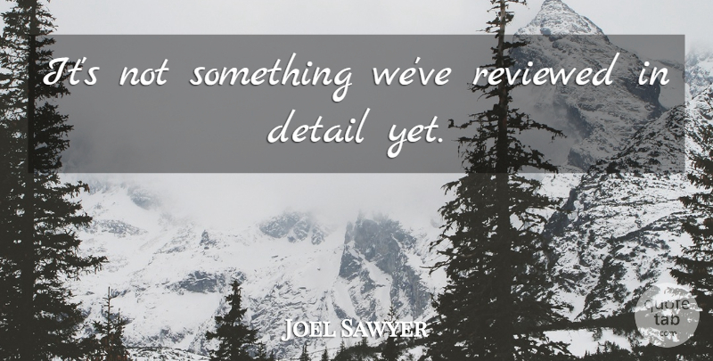 Joel Sawyer Quote About Detail, Reviewed: Its Not Something Weve Reviewed...