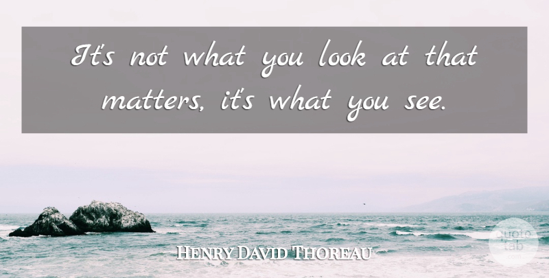 Henry David Thoreau Quote About Inspirational, Motivational, Positive: Its Not What You Look...