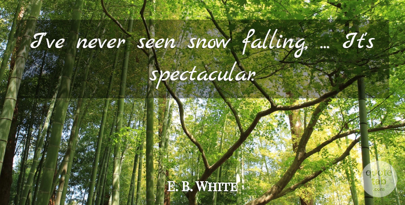 E. B. White Quote About Seen, Snow: Ive Never Seen Snow Falling...