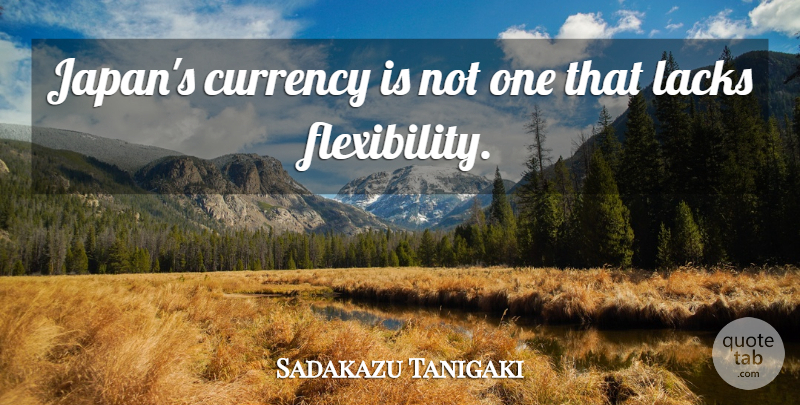 Sadakazu Tanigaki Quote About Currency, Lacks: Japans Currency Is Not One...