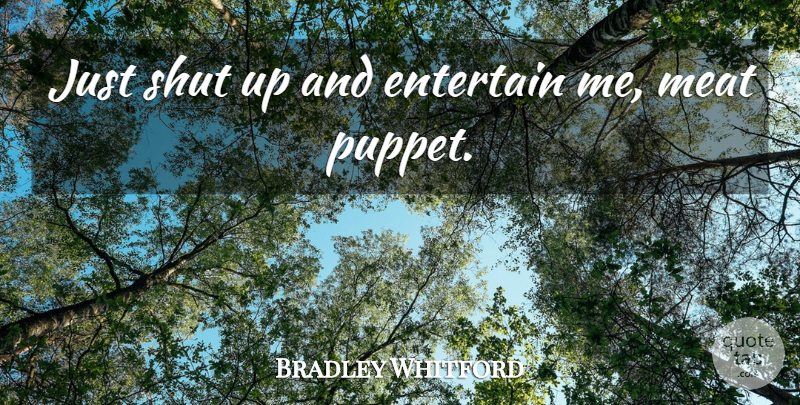 Bradley Whitford Quote About Entertain, Meat, Shut: Just Shut Up And Entertain...
