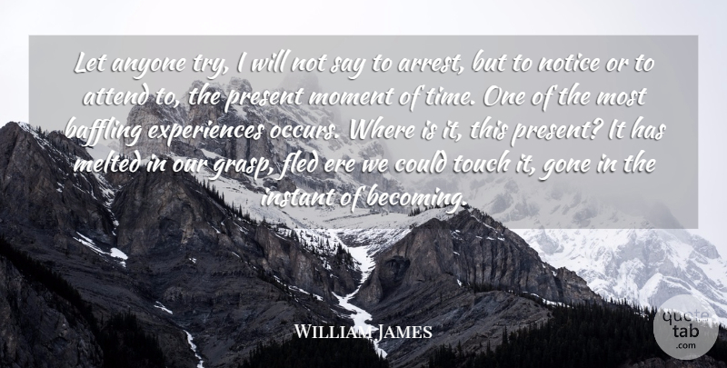 William James Quote About Trying, Becoming, Gone: Let Anyone Try I Will...