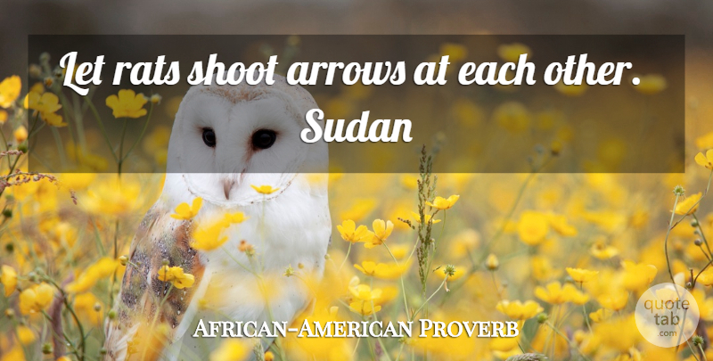 African-American Proverb Quote About Arrows, Rats, Shoot, Sudan: Let Rats Shoot Arrows At...