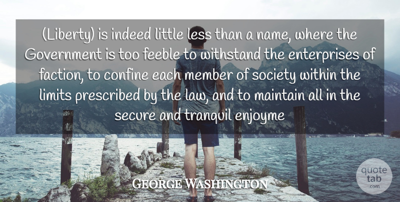 George Washington Quote About Confine, Feeble, Government, Indeed, Less: Liberty Is Indeed Little Less...