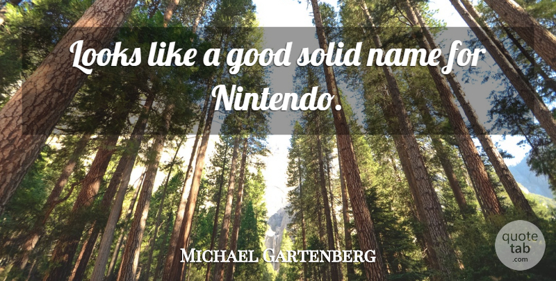 Michael Gartenberg Quote About Good, Looks, Name, Solid: Looks Like A Good Solid...