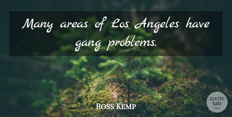 Ross Kemp Quote About Problem, Gang, Los Angeles: Many Areas Of Los Angeles...