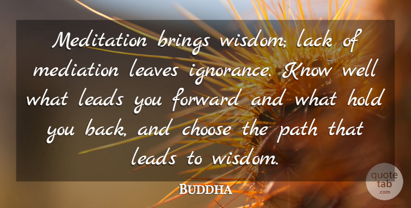 Buddha Quote About Brings, Choice, Choose, Forward, Hold: Meditation Brings Wisdom Lack Of...