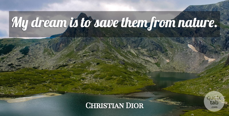 Christian Dior Quote About Dream, Aquarius: My Dream Is To Save...