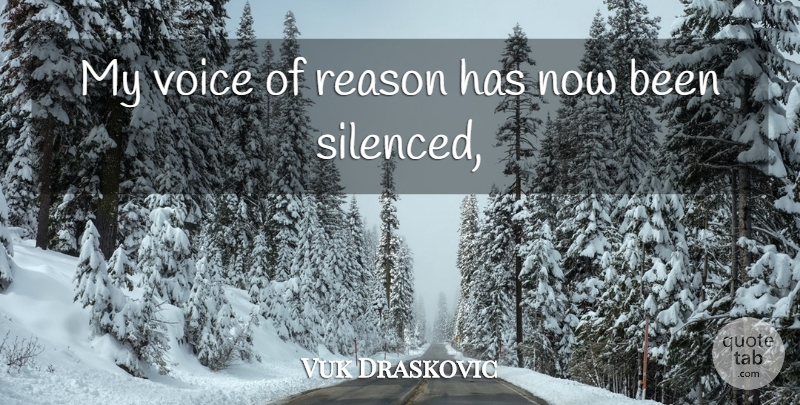 Vuk Draskovic Quote About Reason, Voice: My Voice Of Reason Has...