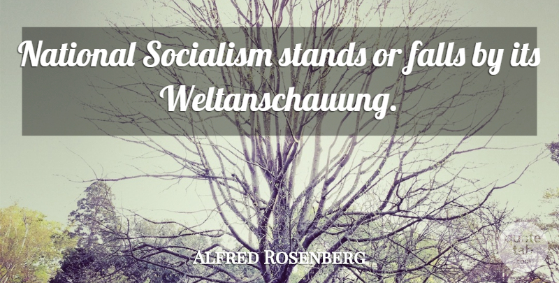 Alfred Rosenberg Quote About Fall, Eugenics, Socialism: National Socialism Stands Or Falls...