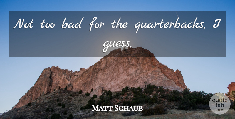 Matt Schaub Quote About Bad: Not Too Bad For The...