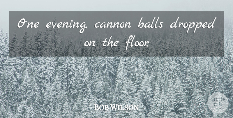 Bob Wilson Quote About Balls, Cannon, Dropped: One Evening Cannon Balls Dropped...