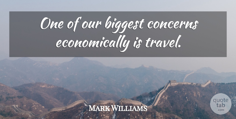 Mark Williams Quote About Biggest, Concerns, Travel: One Of Our Biggest Concerns...