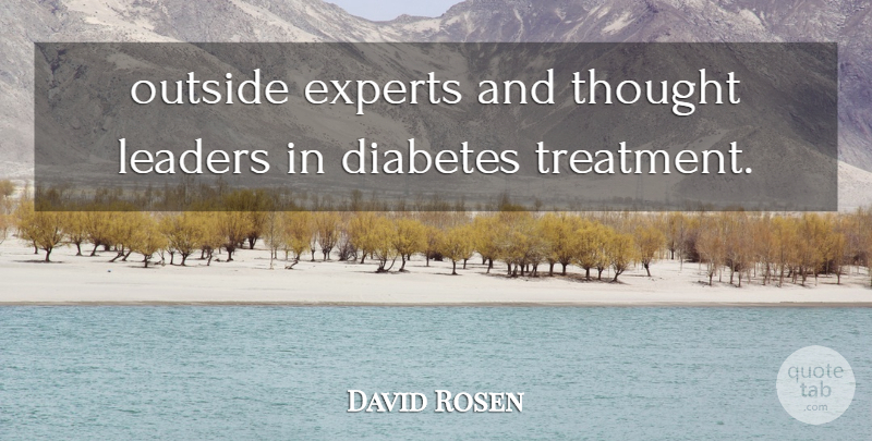 David Rosen Quote About Diabetes, Experts, Leaders, Outside: Outside Experts And Thought Leaders...