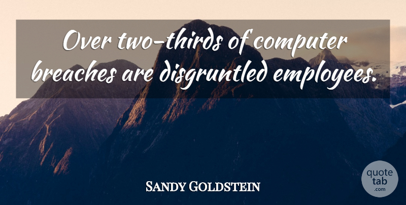 Sandy Goldstein Quote About Computer: Over Two Thirds Of Computer...