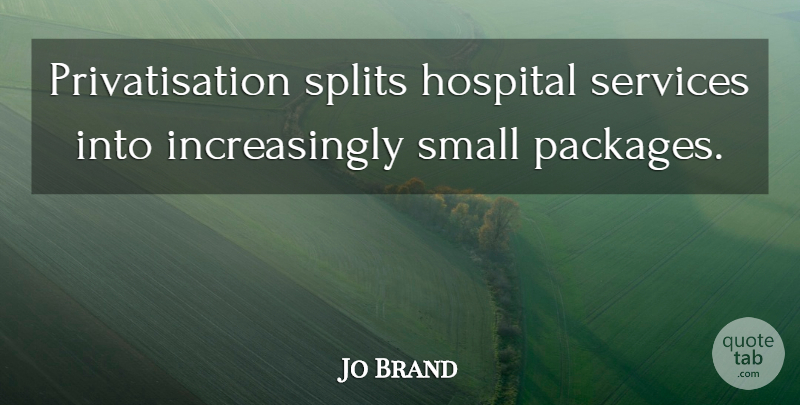 Jo Brand Quote About Splits, Small Packages, Hospitals: Privatisation Splits Hospital Services Into...