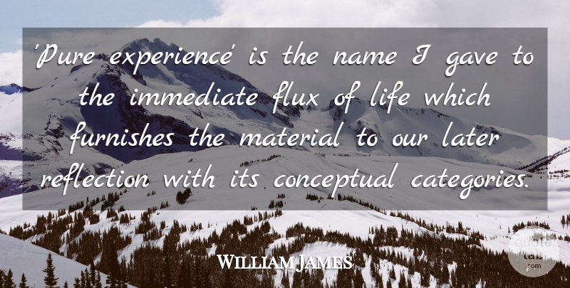 William James Quote About Reflection, Names, Flux: Pure Experience Is The Name...