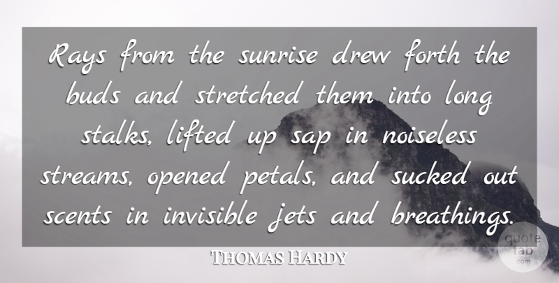 Thomas Hardy Quote About Buds, Drew, Forth, Invisible, Jets: Rays From The Sunrise Drew...
