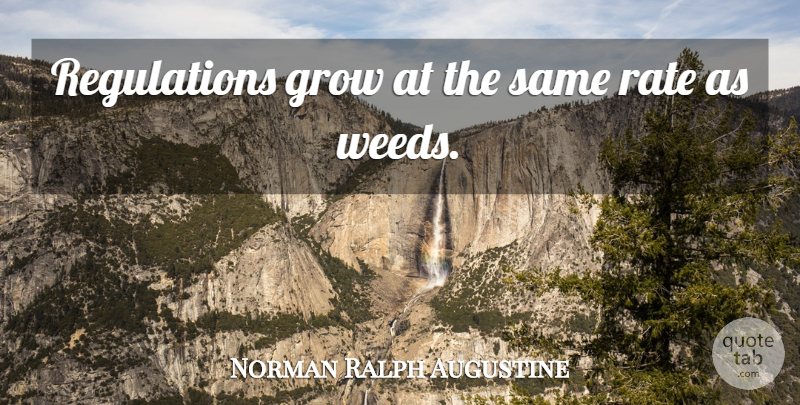 Norman Ralph Augustine Quote About Weed, Marijuana, Regulation: Regulations Grow At The Same...