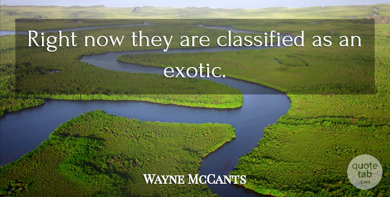 Wayne McCants Quote About Classified: Right Now They Are Classified...