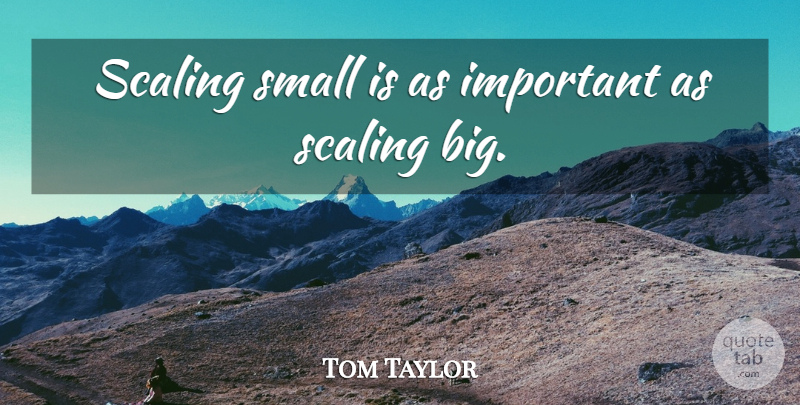 Tom Taylor Quote About Scaling, Small: Scaling Small Is As Important...