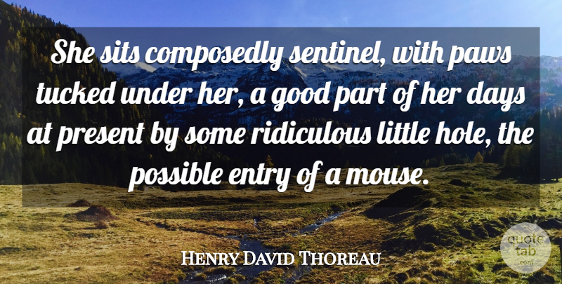 Henry David Thoreau Quote About Days, Entry, Good, Possible, Present: She Sits Composedly Sentinel With...