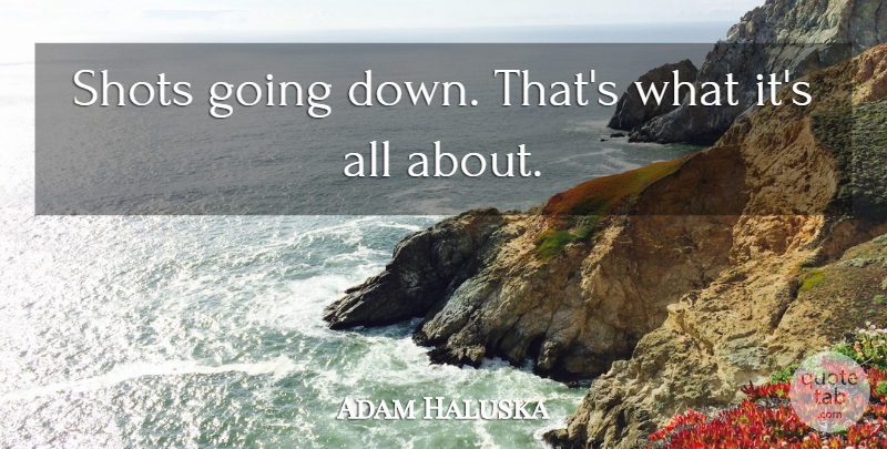 Adam Haluska Quote About Shots: Shots Going Down Thats What...