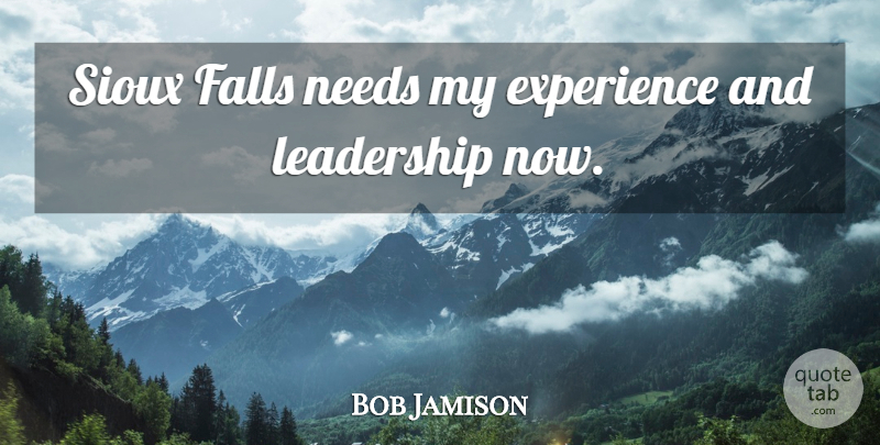 Bob Jamison Quote About Experience, Falls, Leadership, Needs, Sioux: Sioux Falls Needs My Experience...