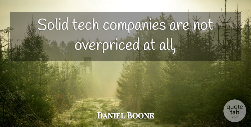 Daniel Boone Quote About Companies, Solid, Tech: Solid Tech Companies Are Not...