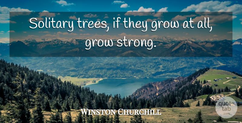 Winston Churchill Quote About Sad, Being Strong, Lonely: Solitary Trees If They Grow...
