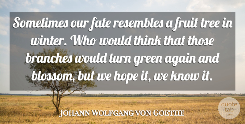 Johann Wolfgang von Goethe Quote About Leadership, Winter, Fate: Sometimes Our Fate Resembles A...
