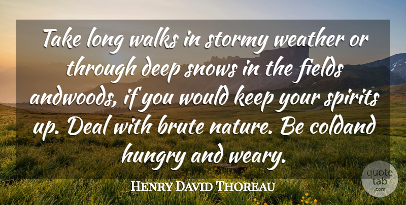 Henry David Thoreau Quote About Brute, Deal, Deep, Fields, Hungry: Take Long Walks In Stormy...