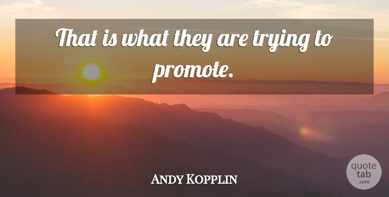 Andy Kopplin Quote About Trying: That Is What They Are...