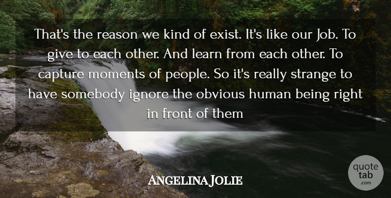 Angelina Jolie Quote About Capture, Front, Human, Ignore, Learn: Thats The Reason We Kind...