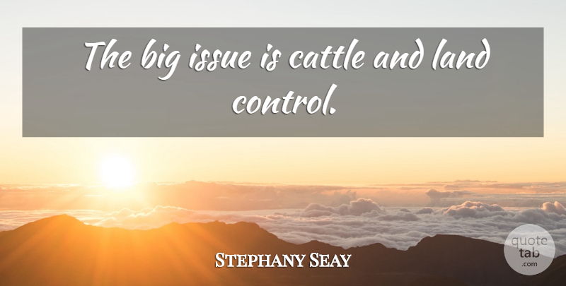 Stephany Seay Quote About Cattle, Issue, Land: The Big Issue Is Cattle...