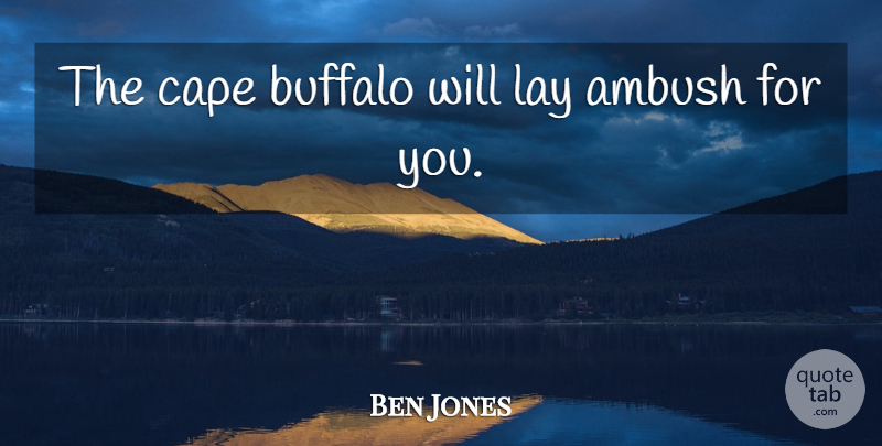 Ben Jones Quote About Buffalo, Cape, Lay: The Cape Buffalo Will Lay...