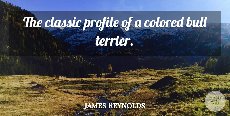 James Reynolds Quote About Bull, Classic, Colored, Profile: The Classic Profile Of A...