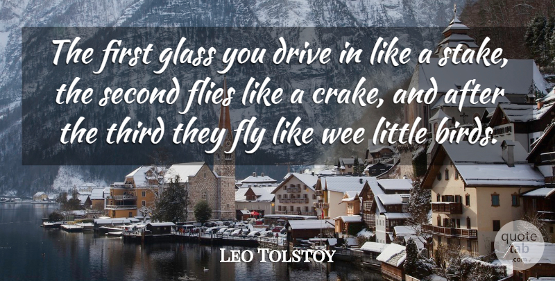 Leo Tolstoy Quote About Drive, Flies, Fly, Glass, Second: The First Glass You Drive...