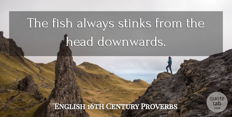 English 16th Century Proverbs Quote About Fish, Head, Proverbs, Stinks: The Fish Always Stinks From...