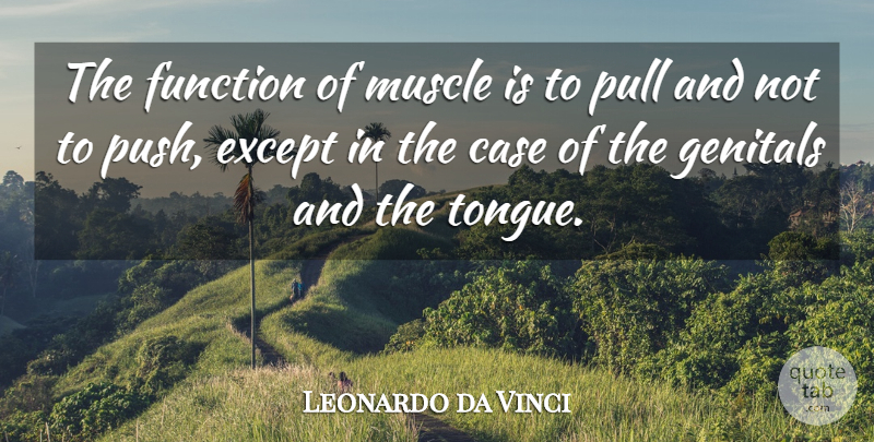 Leonardo da Vinci Quote About Cynical, Body, Tongue: The Function Of Muscle Is...